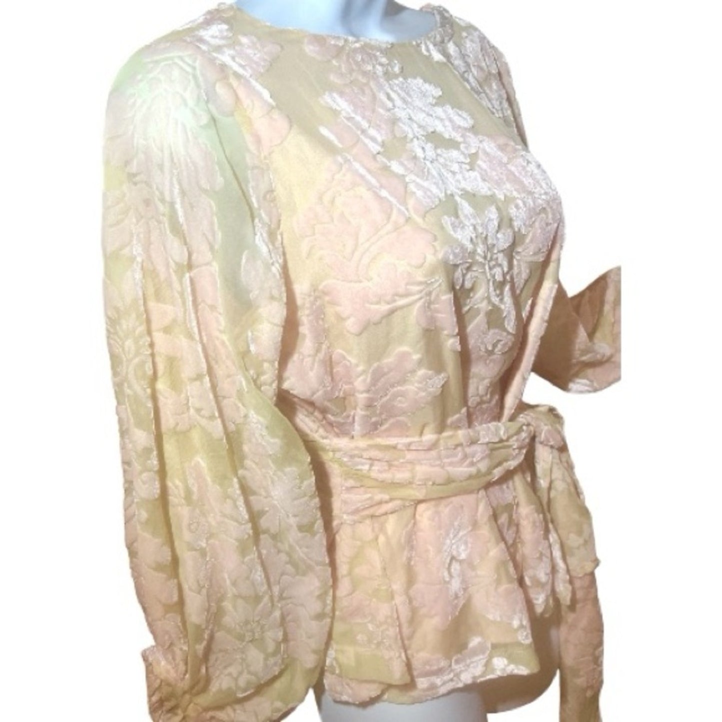 Anthropologie Velvet Embossed Blouse by Yumi Kim “Kiss-and Tell” Size Sm 
NWT