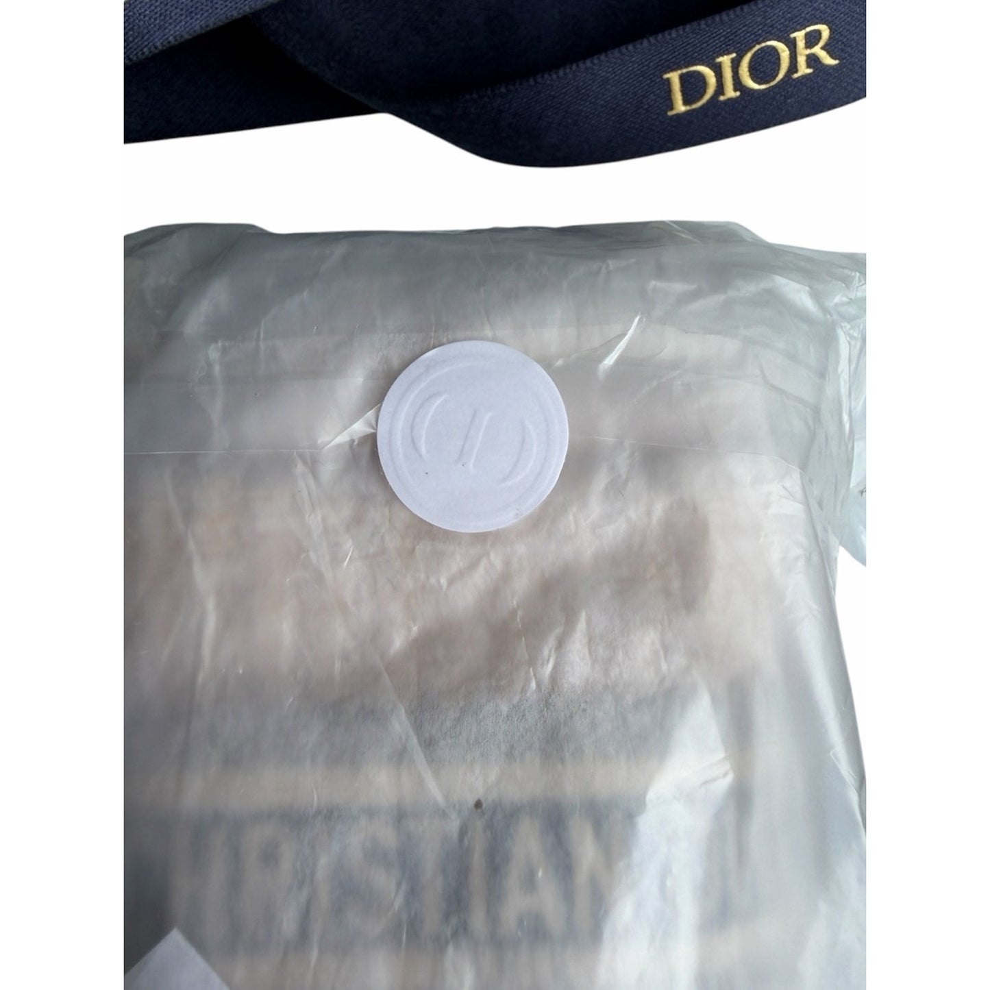 Christian Dior Beauty Mini Raffia Bucket Crossbody Bag New
