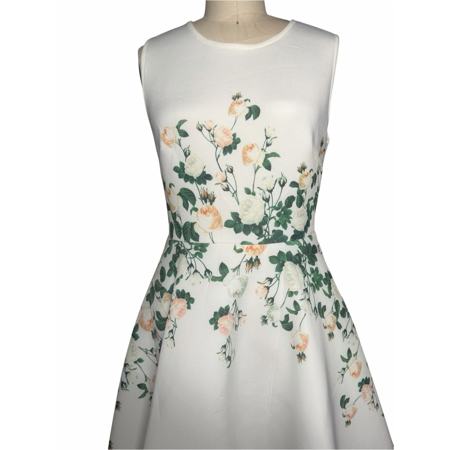 NWT Erin Fetherston Floral Scuba Fit & Flare Dress Pockets Sz 8 MSRP $325