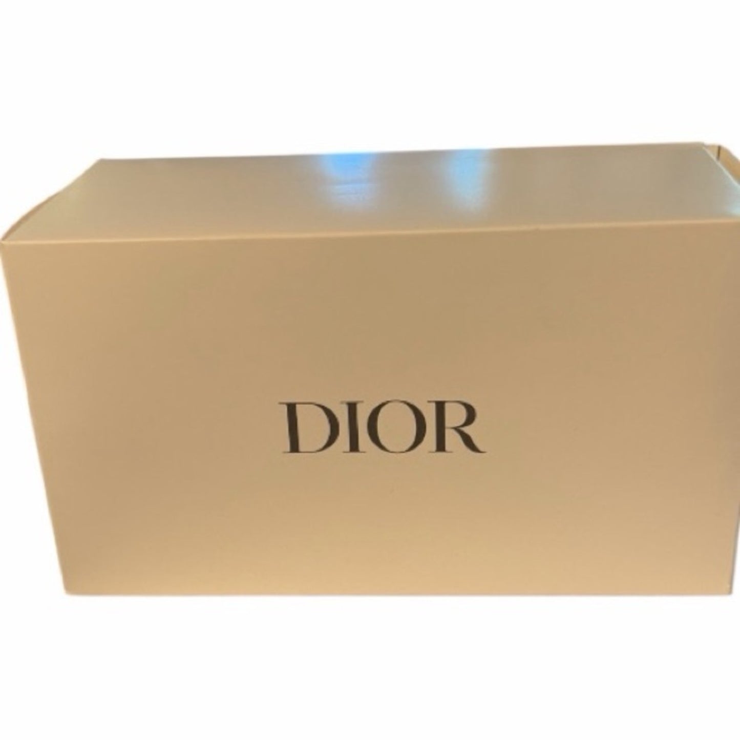 Authentic Dior Tresay Zippered Mesh Cosmetic Pouch | New In Original Box