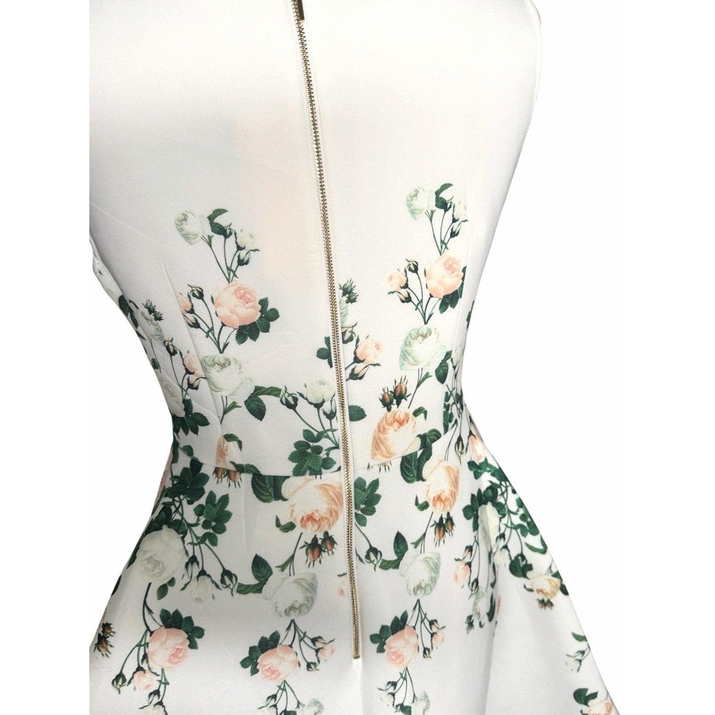 NWT Erin Fetherston Floral Scuba Fit & Flare Dress Pockets Sz 8 MSRP $325
