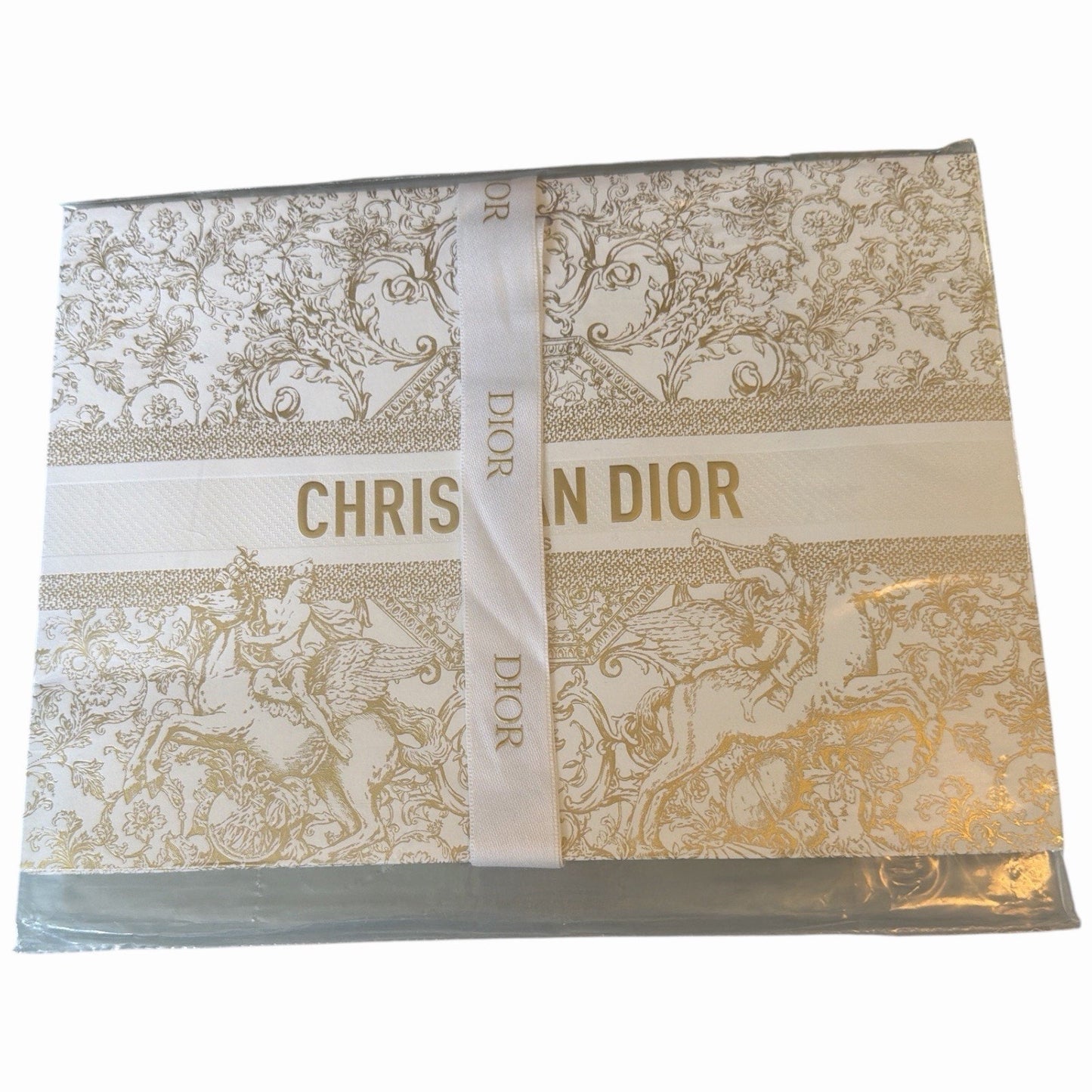 Dior Acrylic Lipstick Clutch Set w Chain + 4 Lipsticks + Duster + Box