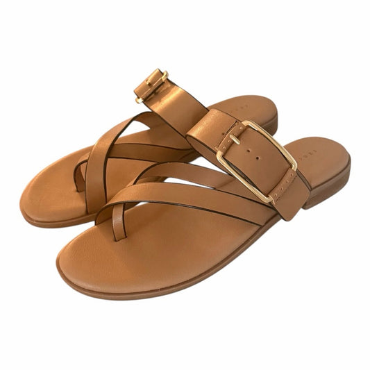 Sanctuary Lion Spring Sandals Size 8 NIB Tan Leather Minimalist Summer Slide