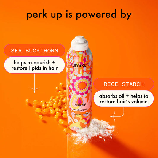 Amrika: Perk Up Dry Shampoo (9.5 Oz.)