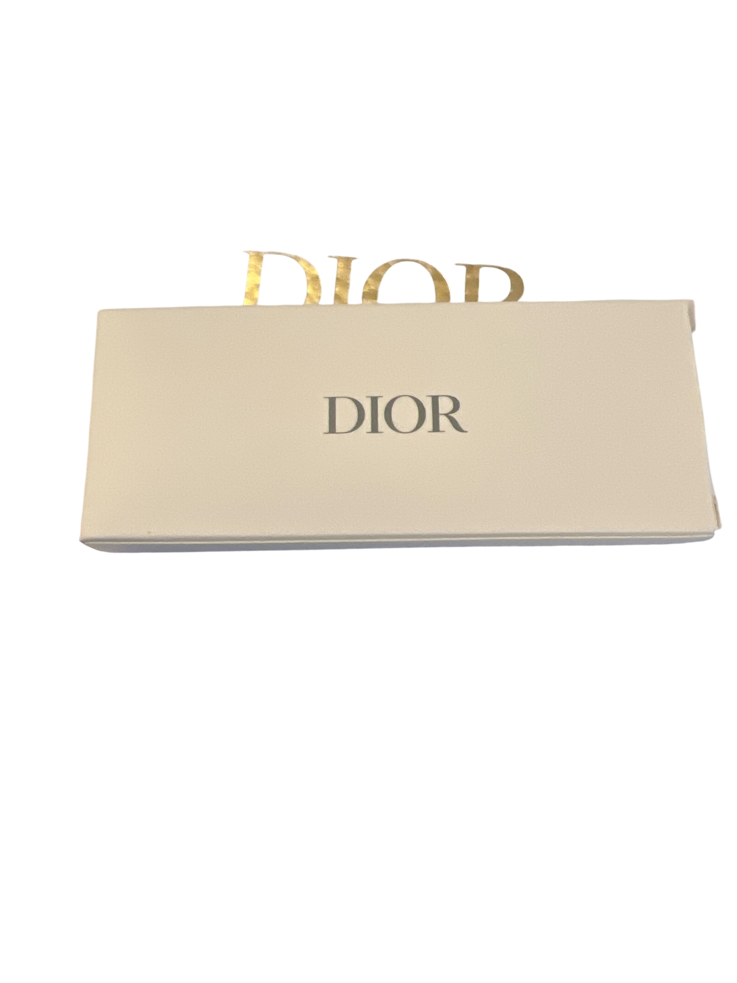 Dior Pink and Silver Phone Chain - Bag Charm
