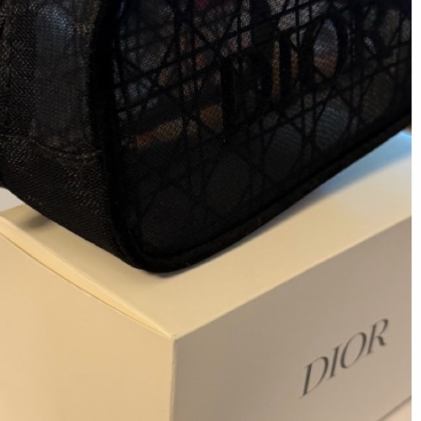 Authentic Dior Tresay Zippered Mesh Cosmetic Pouch | New In Original Box