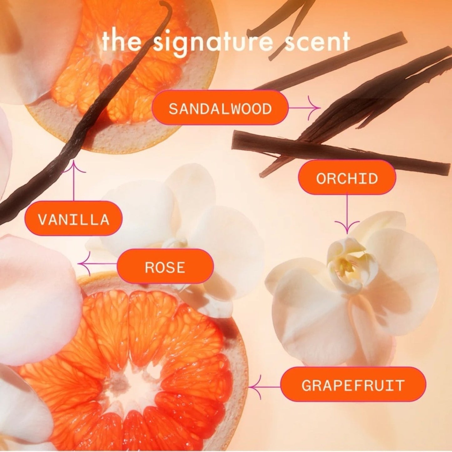 Amika Hydro Rush Shampoo JUMBO SIZE WITH PUMP New